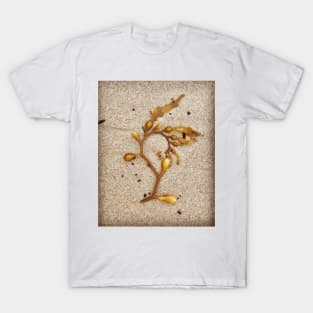 Beach Art by Kelp T-Shirt